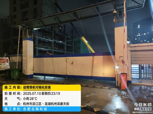 250710 杭州国泰项目动臂塔吊可视化安装案例